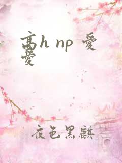 高h np 爱爱