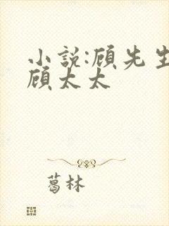 小说:顾先生和顾太太