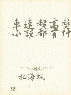 车速超高双男主小说都有什么