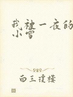 我被一夜的经历小雪