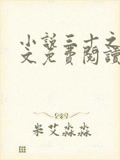 小说三十之妻全文免费阅读