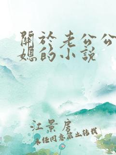 关于老公公与儿媳的小说