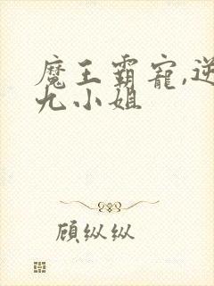 魔王霸宠,逆天九小姐