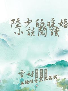 陆少的暖婚新妻 小说阅读