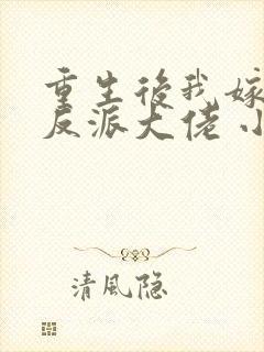 重生后我嫁给了反派大佬 小说