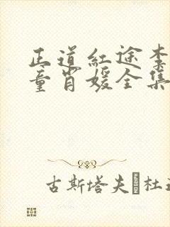 正道红途李初年童肖媛全集章节