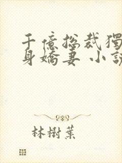 千亿总裁独宠替身娇妻 小说