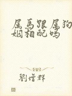 属马跟属狗的婚姻相配吗