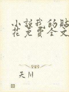 小说我的贴身校花免费全文阅读