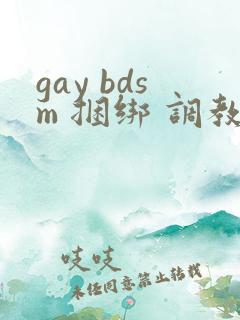 gay bdsm 捆绑 调教 男奴