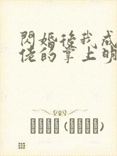 闪婚后我成了大佬的掌上明珠