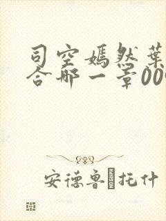 司空嫣然叶凡结合哪一章0097