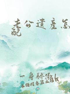 老公遗产怎么分配