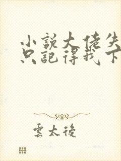 小说大佬失忆后只记得我下载