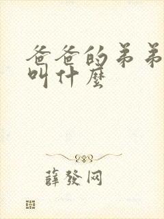 爸爸的弟弟老婆叫什么