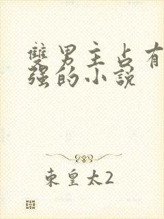 双男主占有欲很强的小说