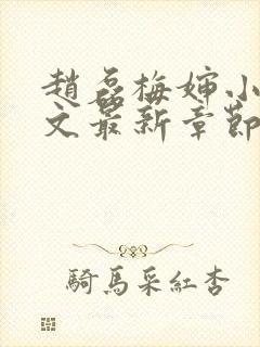 赵磊梅婶小说全文最新章节更新