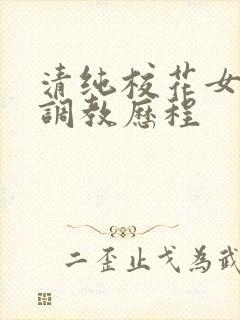 清纯校花女友的调教历程