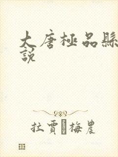 大唐极品县令小说