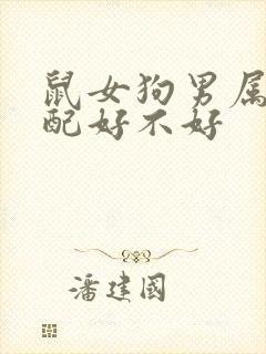 鼠女狗男属相婚配好不好