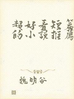 超好看短篇言情的小说推荐