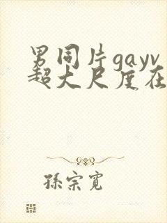 男同片gayv超大尺度在线观看网站