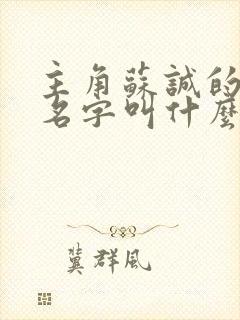 主角苏诚的小说名字叫什么