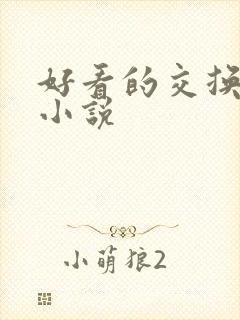 好看的交换女友小说