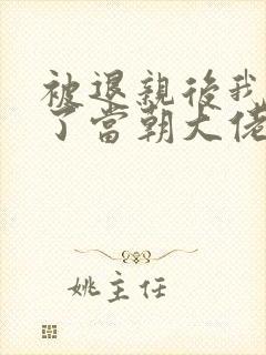 被退亲后我嫁给了当朝大佬 小说