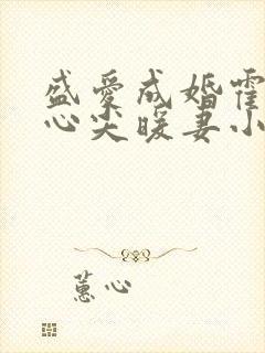 盛爱成婚霍少的心尖暖妻小说