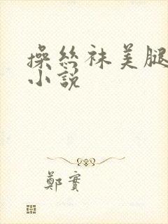 操丝袜美腿玉足小说