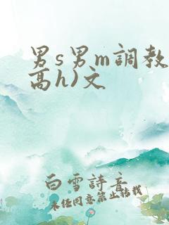 男s男m调教(高h)文
