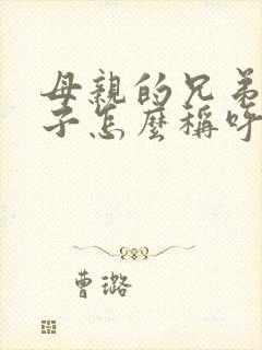 母亲的兄弟的儿子怎么称呼