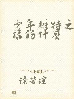 少年维特之烦恼讲的什么