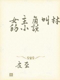 女主角叫林清妍的小说