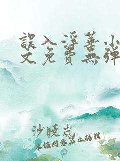 误入浮华小说全文免费无弹窗阅读