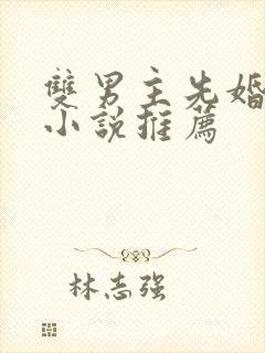 双男主先婚后爱小说推荐