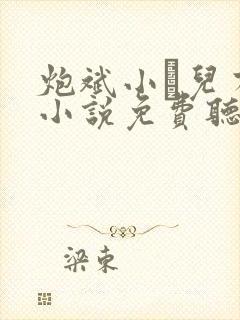 炮斌小苮儿有声小说免费听书