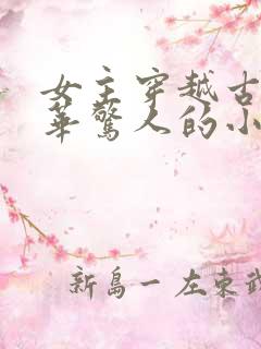 女主穿越古代才华惊人的小说