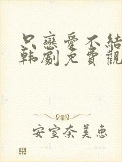 只恋爱不结婚 韩剧免费观看