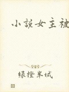 小说女主被下药