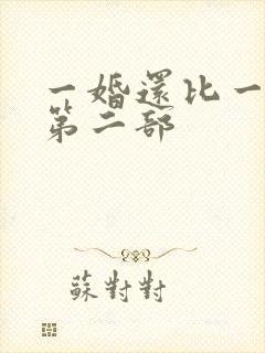 一婚还比一婚高第二部