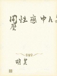 同性恋中h是什么