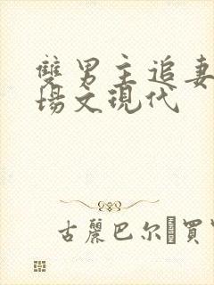 双男主追妻火葬场文现代