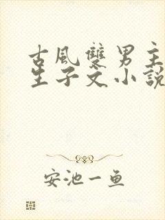 古风双男主超虐生子文小说