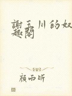 谢玉川的奴妻笔趣阁