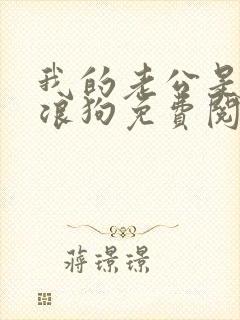 我的老公是只流浪狗免费阅读