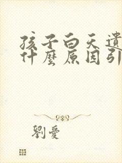 孩子白天遗尿是什么原因引起的