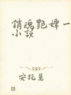 销魂艳婢一级a小说