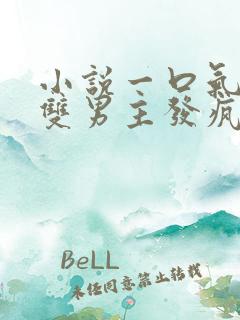 小说一口气看完双男主发疯爽文